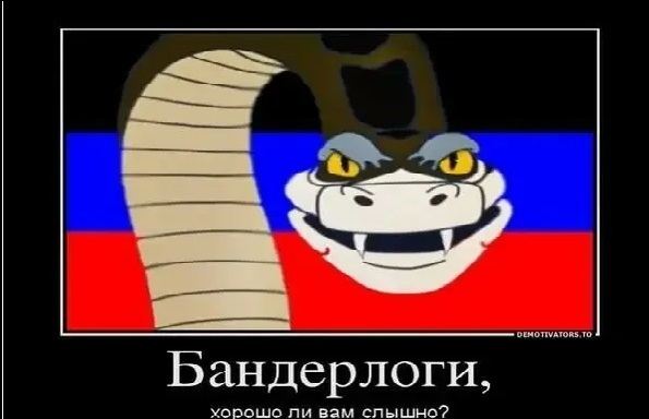 Превью трансляции